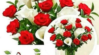 Vidéo hhhh , فيديو هاهاها