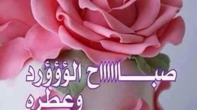 Vidéo hhhh , فيديو هاهاها