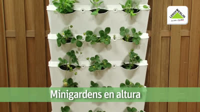 Cómo crear un huerto urbano: Cultiva tus Propios Alimentos Frescos en Casa