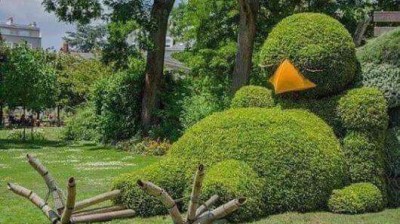 Vidéo hhhh , فيديو هاهاها