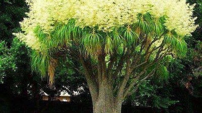 Vidéo hhhh , فيديو هاهاها