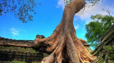 Vidéo hhhh , فيديو هاهاها