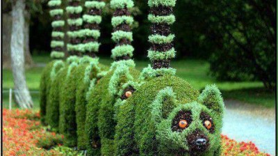 Vidéo hhhh , فيديو هاهاها