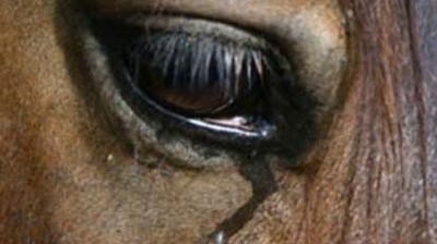 Vidéo hhhh , فيديو هاهاها