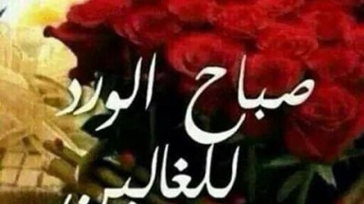 vidéo vachement importante , فيديو مهمة جدا