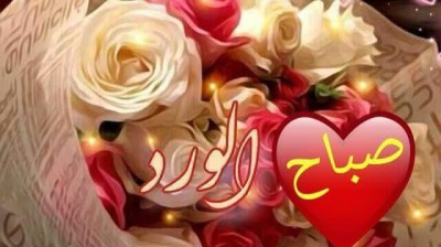 vidéo vachement importante , فيديو مهمة جدا