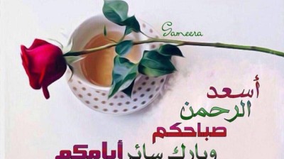 vidéo vachement importante , فيديو مهمة جدا