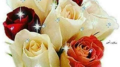 vidéo vachement importante , فيديو مهمة جدا