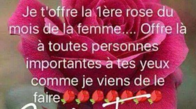 vidéo vachement importante , فيديو مهمة جدا