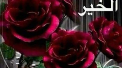 vidéo vachement importante , فيديو مهمة جدا