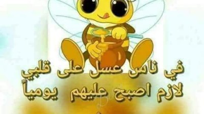 vidéo vachement importante , فيديو مهمة جدا